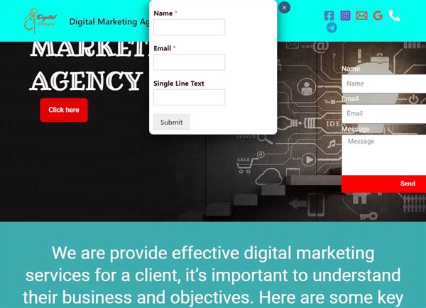 Digital Shreejee Marketing Agency